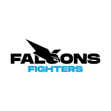Falcons Fighters